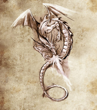 Fantasy dragon. Sketch of tattoo art, medieval monster