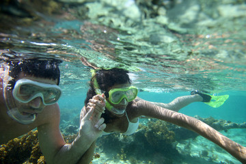 Couple snorkeling in Caribbean waters - obrazy, fototapety, plakaty