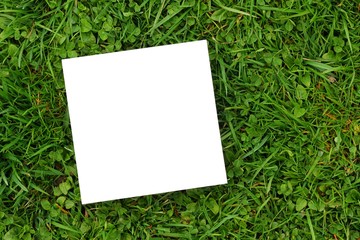 zettl wiese blanko II