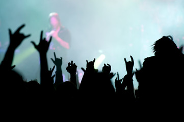 concert. contour of the fans