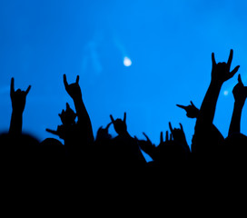 concert. contour of the fans