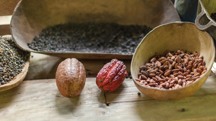 Cocoa-the main ingredient for chocolate