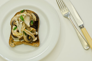 mixed mushrooms on toast