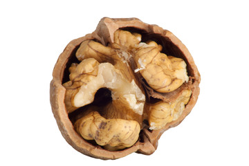 close-up of a walnut isolated on white background