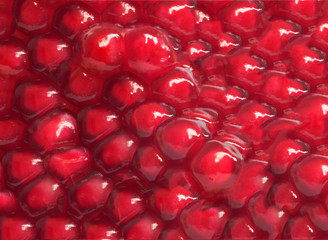 Pomegranate as a background