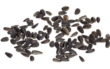 pips on a white background