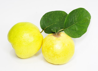 Quince on a white background