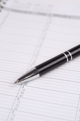 ballpoint pen on a calendar page