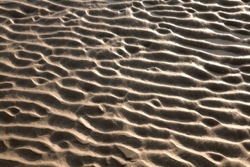 sea sand surface