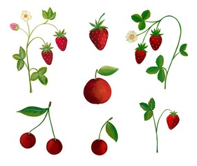 Artwork. Set of decorative elements