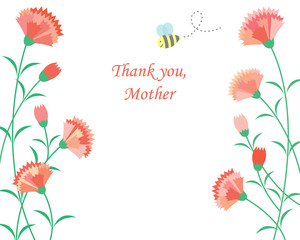 カーネーション　母の日