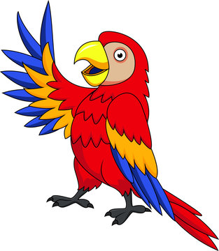 Funnny Parrot cartoon