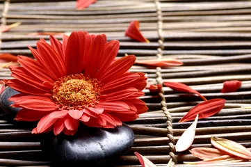 Fototapeten Blume mit Blütenblättern im Spa © Mee Ting