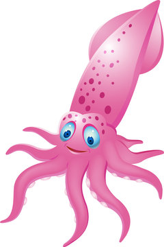 Squid cartoon
