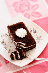 Delicious cake with dark chocolate