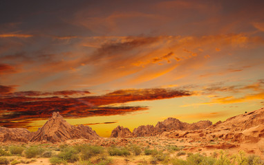 Fototapeta na wymiar Beautiful colored sunset in the desert