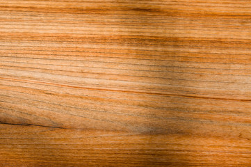 Abstract background like slice of wood timber natural