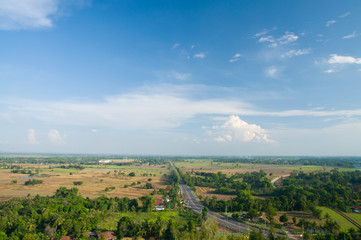 Obraz premium field, trees and blue sky