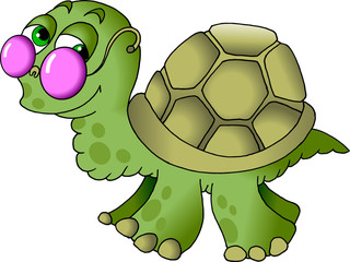little turtle