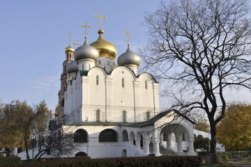 Novodevichy Convent