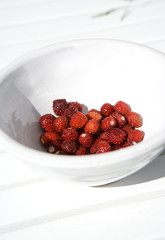 Wild Strawberries