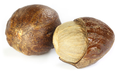 Nutmeg or Jaifal Spice over white background