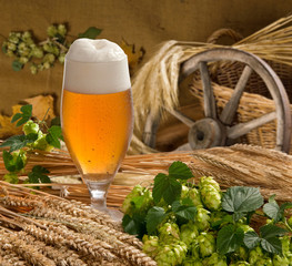 still life with beer