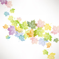colorful leaves background