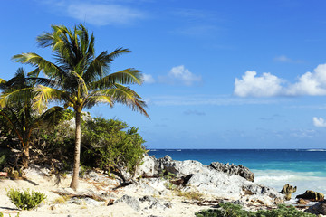 Mexican beach