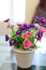 Fototapeta na wymiar Purple flower in jar