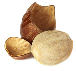 Nutmeg or Jaifal Spice