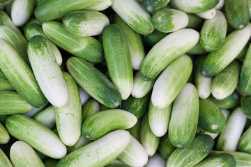 background of cucumbers