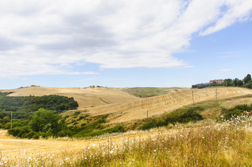 Obraz premium Landscape in Val d'Orcia (Tuscany)