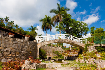 The orchids garden in Soroa, Cuba
