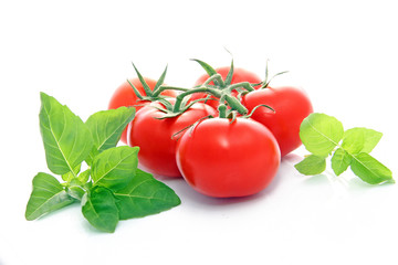 Tomates fraîches et basilic frais
