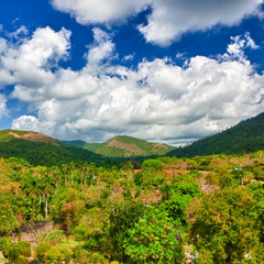Fototapeta na wymiar Góry i doliny tropikalnych na Kubie