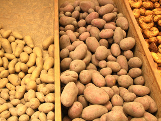 Verschiedene Sorten Kartoffeln auf dem Markt