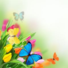 Spring flowers with exotic butterfly