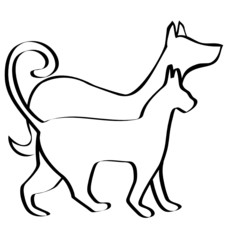 Cat and dog walking together