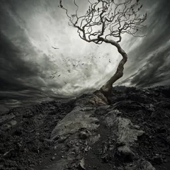 Wandaufkleber Drastischer Himmel über altem einsamem Baum. © Nejron Photo