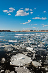 Broken ice pieces floating on river