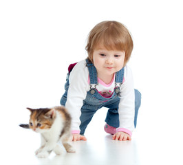 funny child playing with Scottish kitten
