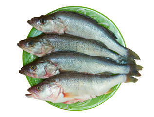 Fresh fish is perch on a plate