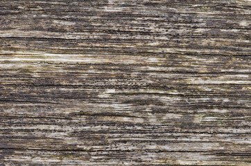 Deeply weathered plank