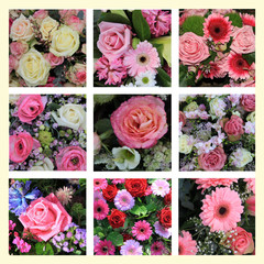mixed pink flower collage