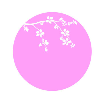 Branch of beautiful cherry blossom in circle