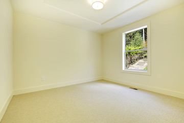 New bedroom interior with one window and carpet.