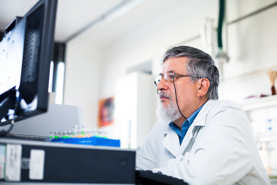 Senior researche using a computer in a lab