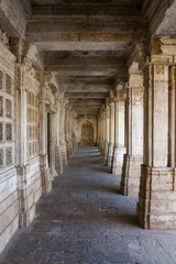 Fototapeta na wymiar Sarkhe Roza, Ahmedabad, Gujarat