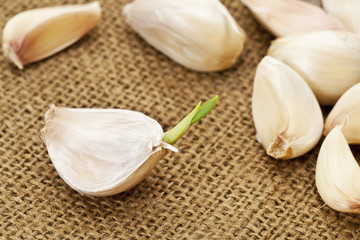 garlic cloves